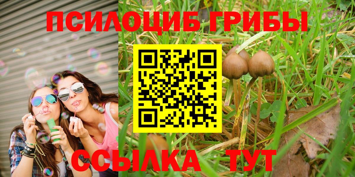 Псилоцибиновые грибы Cubensis Ялуторовск