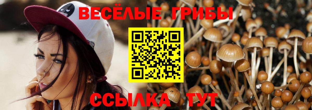 Галлюциногенные грибы мухоморы  Псилоцибиновые грибы мухоморы  Ялуторовск  Вход с VPN 